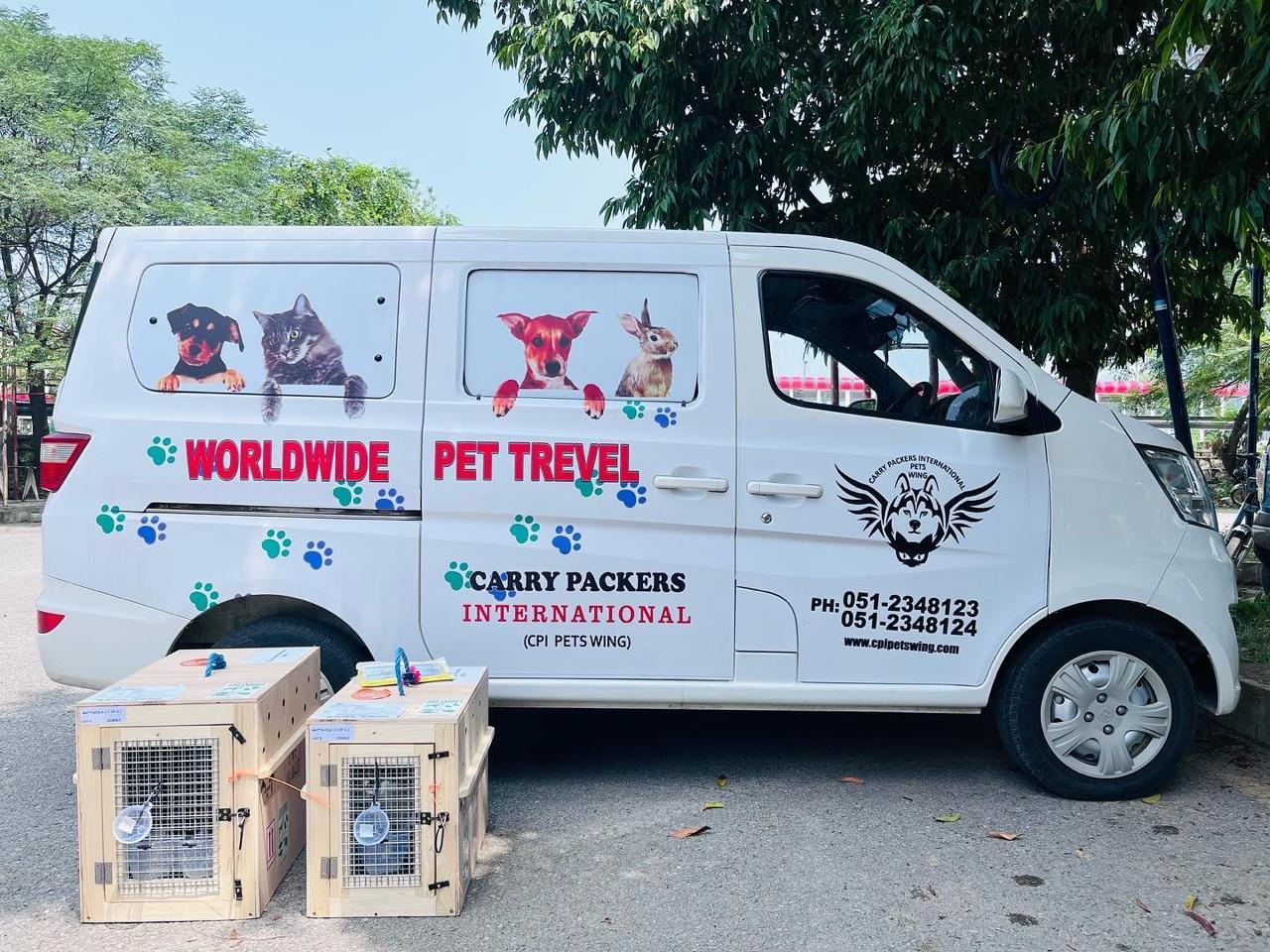 Hassle-Free Pet Import Assistance