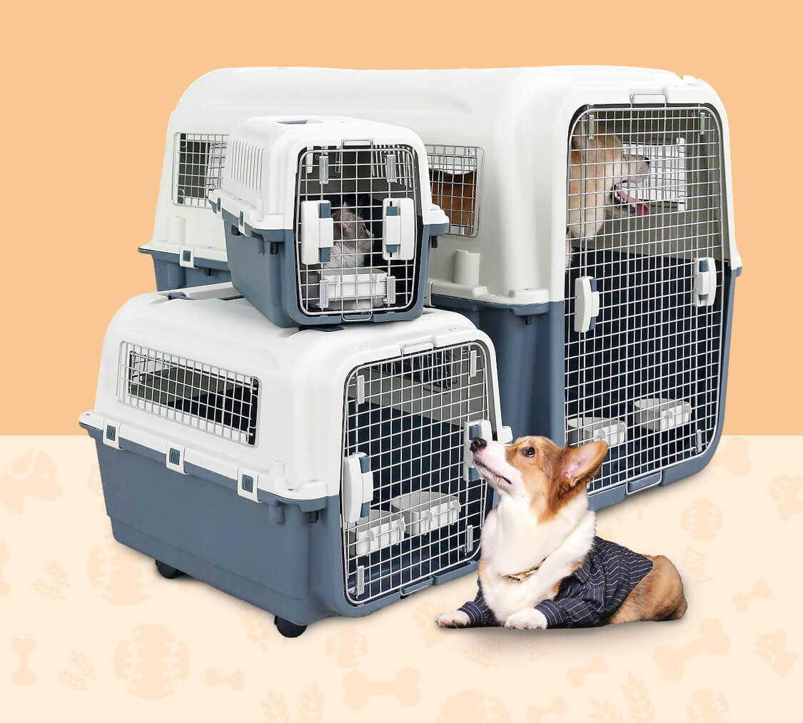 International Pet Export Services